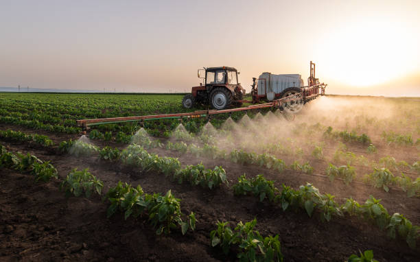 Best Mosquito Control Services  in Middlebury, IN
