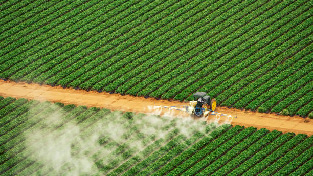 Reliable Middlebury, IN Pest Control Solutions