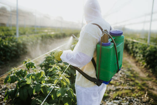 Best Cockroach Control Services  in Middlebury, IN